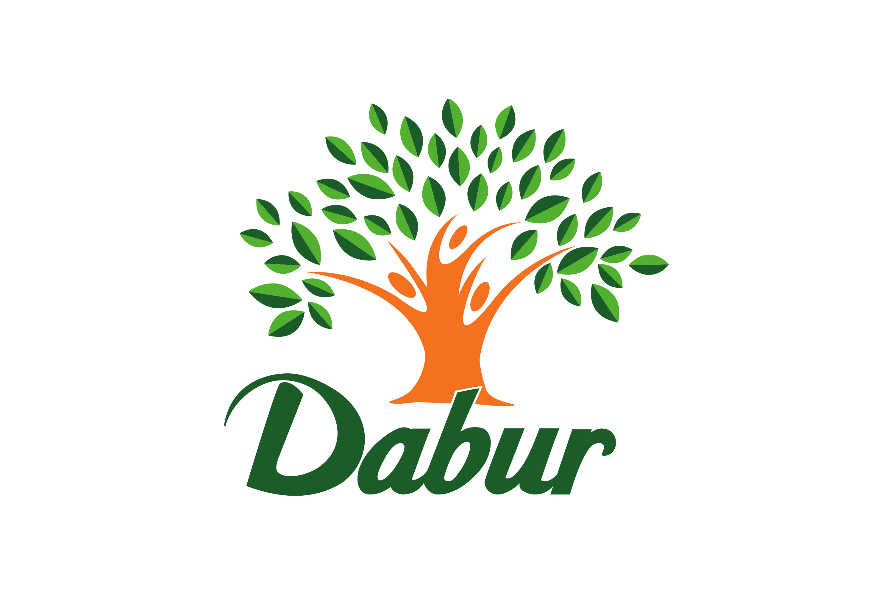 dabur logo